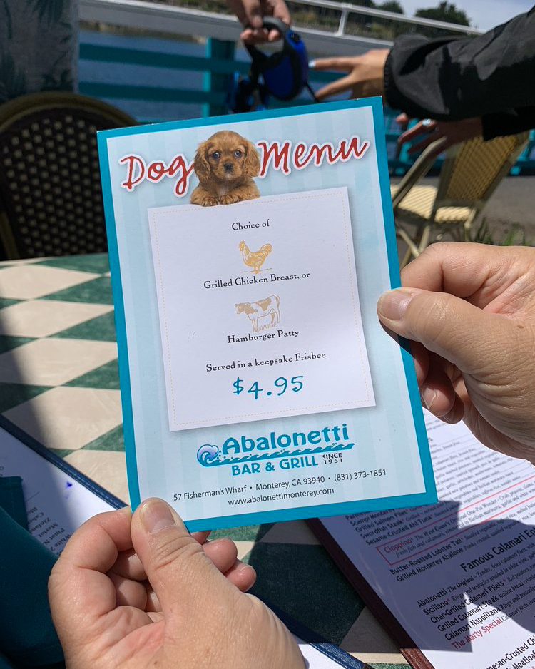 UGC - Dog Menu 1.jpg