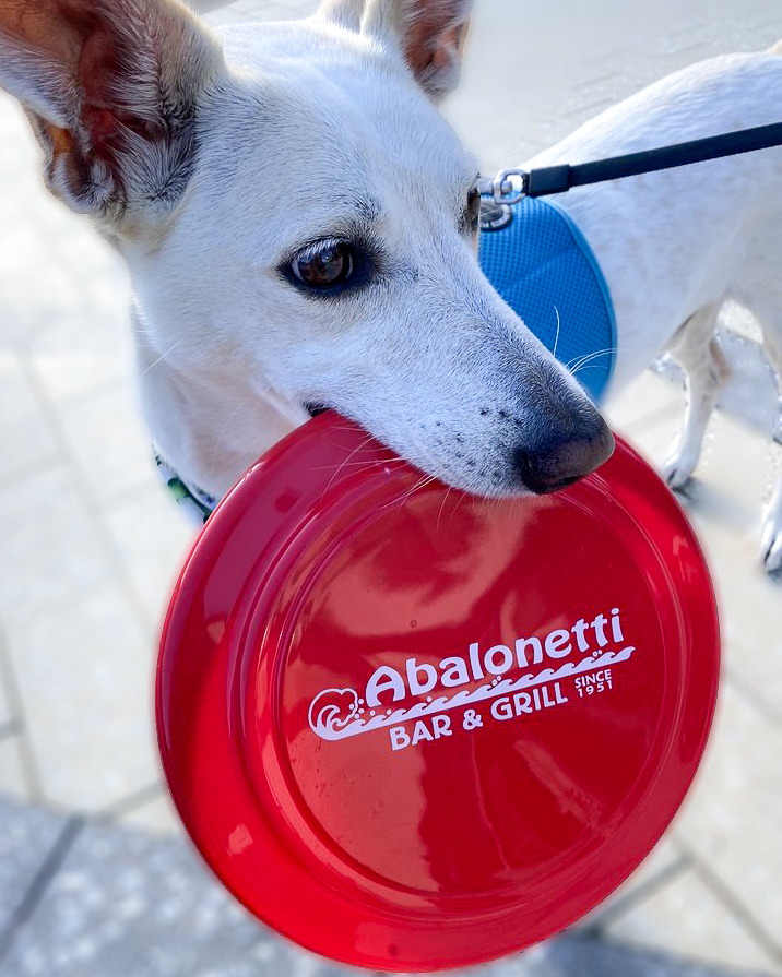 Frisbee that comes with pup menu
