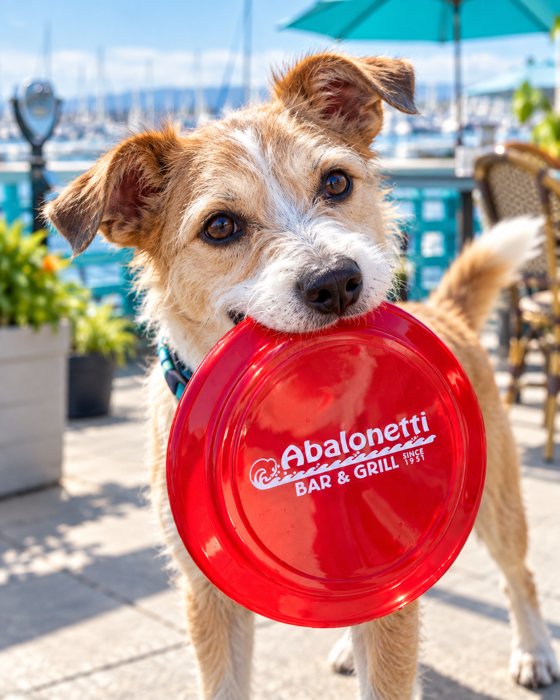 Served in a Keepsake Frisbee