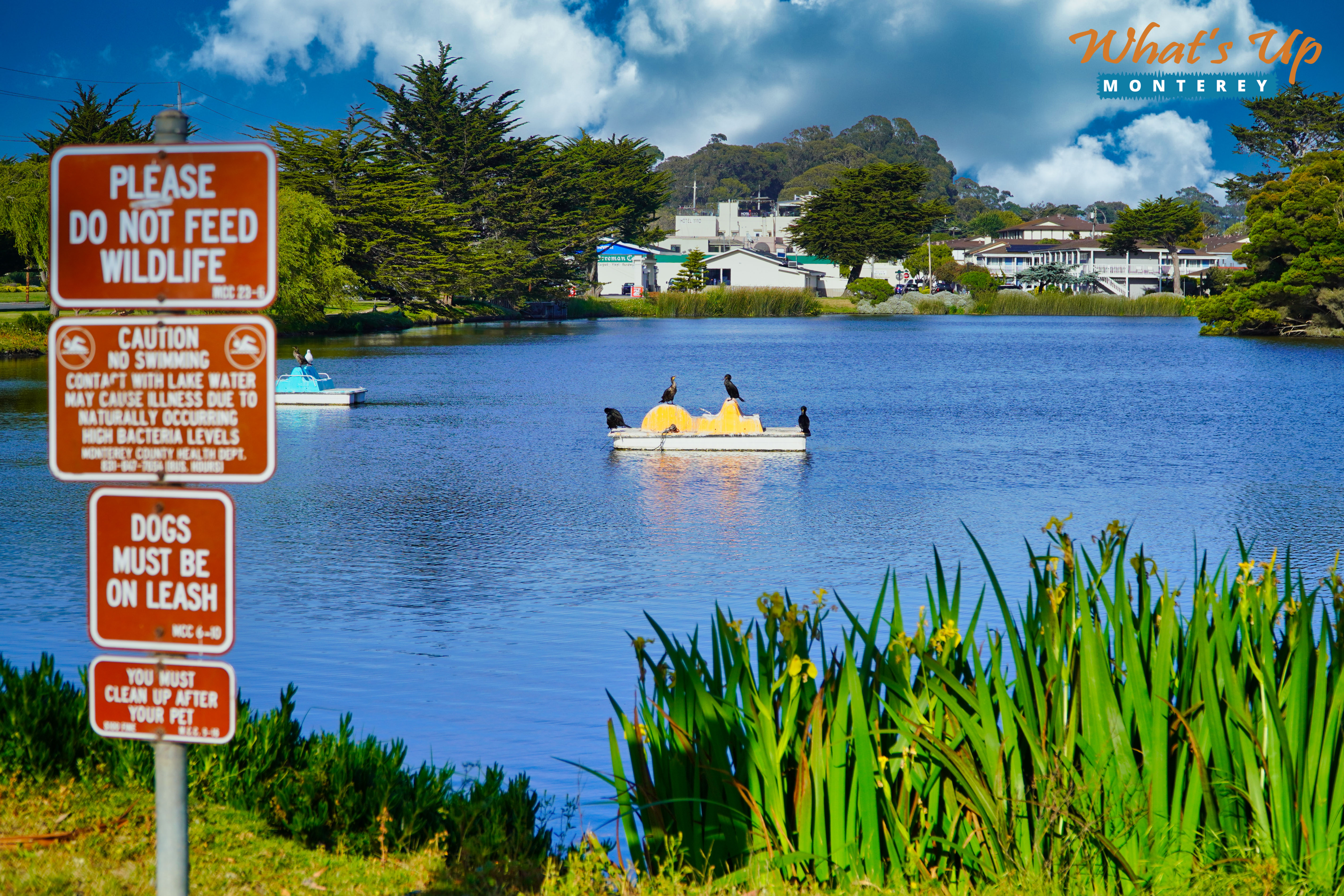 WhatsUpMonterey - Destination Tourism Platform