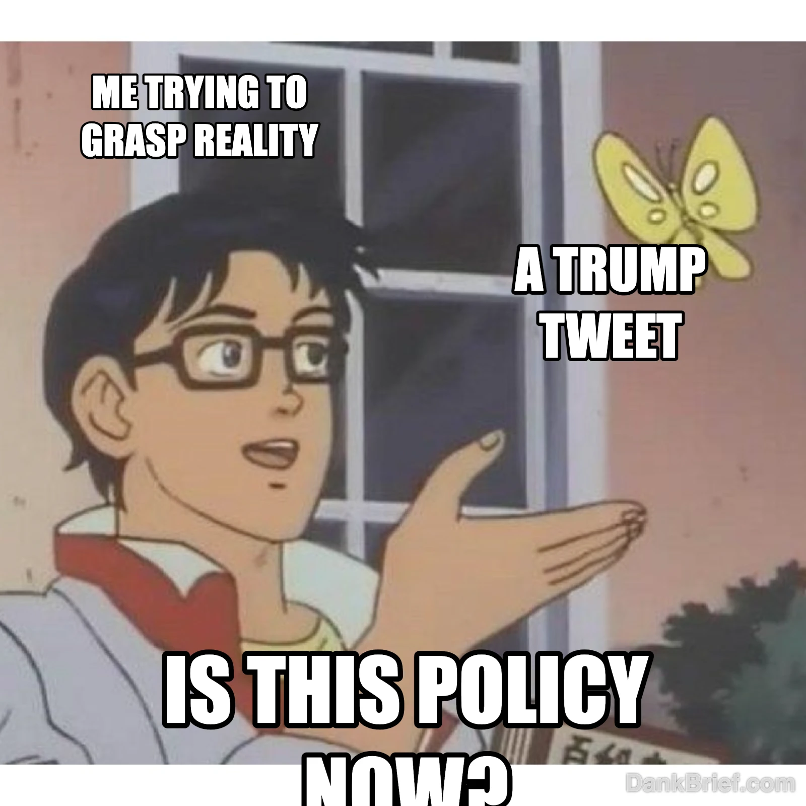 Every single morning, bro