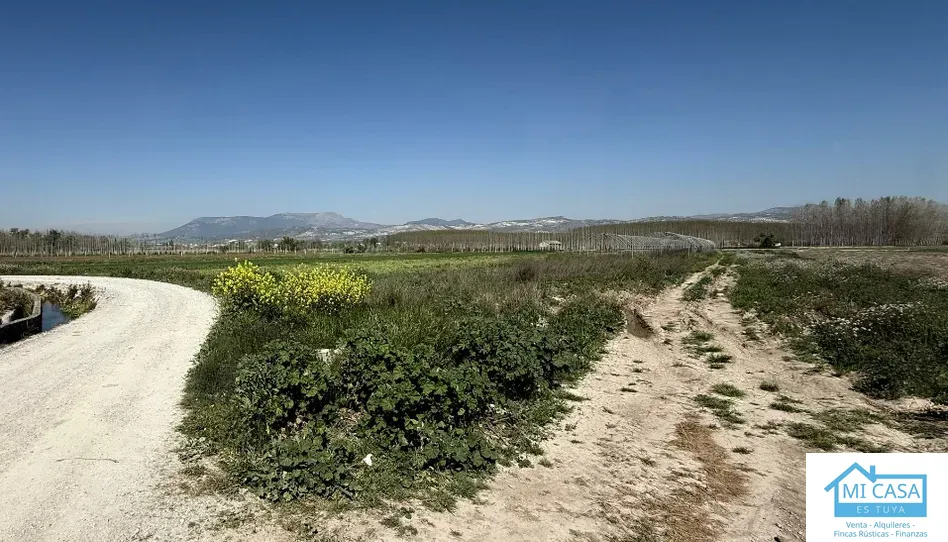 Terreno en venta en Calle Lavaderos, 3, Fuente Vaqueros, Granada - foto 1 de 3 (Fuente Vaqueros)