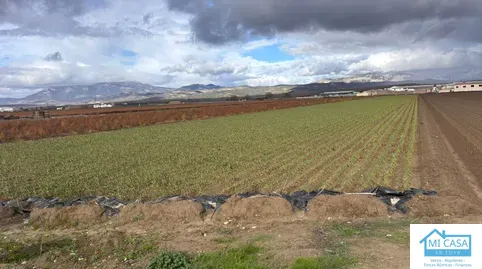 Terreno en venta en Avenida de Andalucía, 23, Chauchina, Granada - foto 4 de 4 (Chauchina)