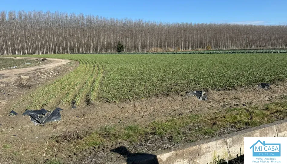Terreno en venta en Gr-3404, 105, Chauchina - foto 1 de 1 (Chauchina)