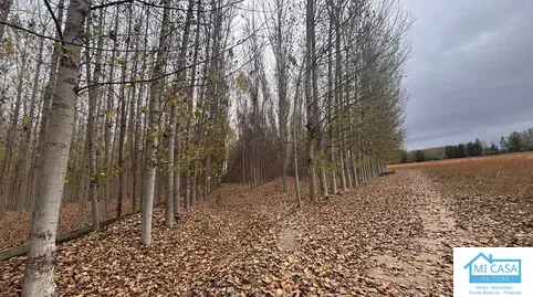 Terreno en venta en Carretera de Fuente Vaqueros, 59, Chauchina, Granada - foto 4 de 4 (Chauchina)
