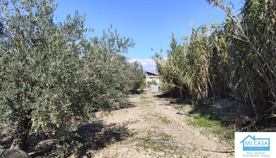 Terreno en venta en Santa Fe, Granada - foto 1 de 5 (Santa Fe)