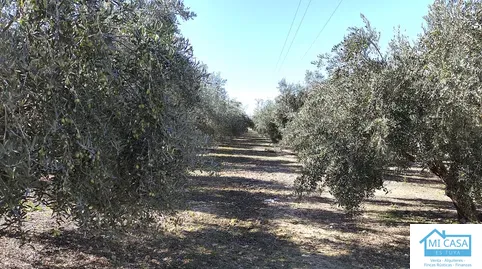 Terreno en venta en Santa Fe, Granada - foto 2 de 5 (Santa Fe)