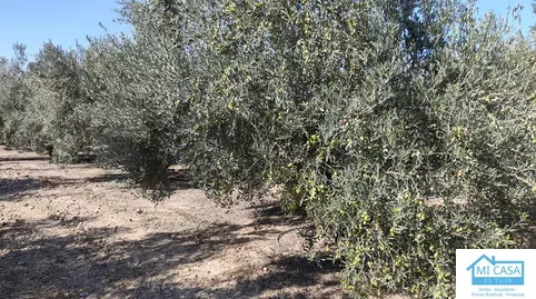 Terreno en venta en Santa Fe, Granada - foto 3 de 5 (Santa Fe)