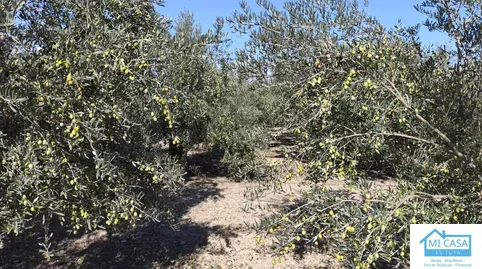 Terreno en venta en Santa Fe, Granada - foto 4 de 5 (Santa Fe)