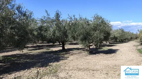 Terreno en venta en Santa Fe, Granada - foto 5 de 5 (Santa Fe)
