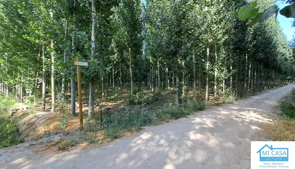 Terreno en venta en Camino Fuente Vaqueros, 2, Fuente Vaqueros, Granada - foto 1 de 5 (Fuente Vaqueros)