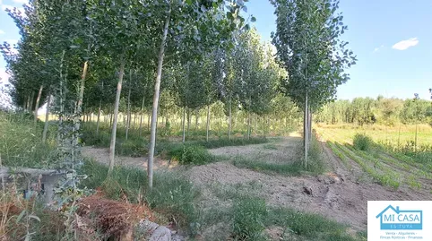 Terreno en venta en Camino Fuente Vaqueros, 2, Fuente Vaqueros, Granada - foto 3 de 5 (Fuente Vaqueros)