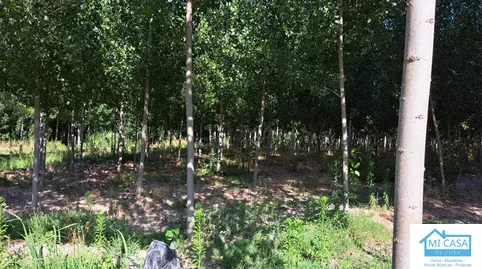 Terreno en venta en Camino Fuente Vaqueros, 2, Fuente Vaqueros, Granada - foto 4 de 5 (Fuente Vaqueros)
