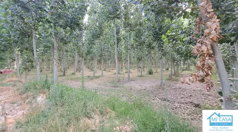 Terreno en venta en Camino Fuente Vaqueros, 2, Fuente Vaqueros, Granada - foto 5 de 5 (Fuente Vaqueros)