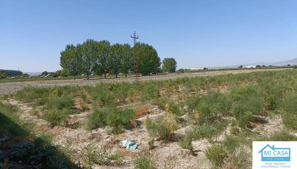 Terreno en venta en Desconocido Gr-3401 de A-92 a Estacion de Illora, Chauchina, Granada - foto 1 de 5 (Chauchina)