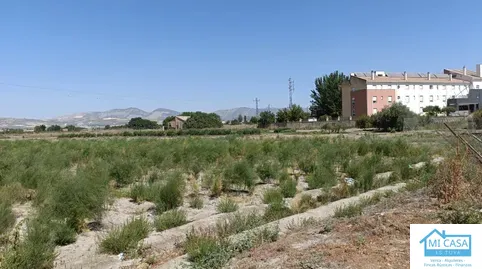 Terreno en venta en Desconocido Gr-3401 de A-92 a Estacion de Illora, Chauchina, Granada - foto 3 de 5 (Chauchina)