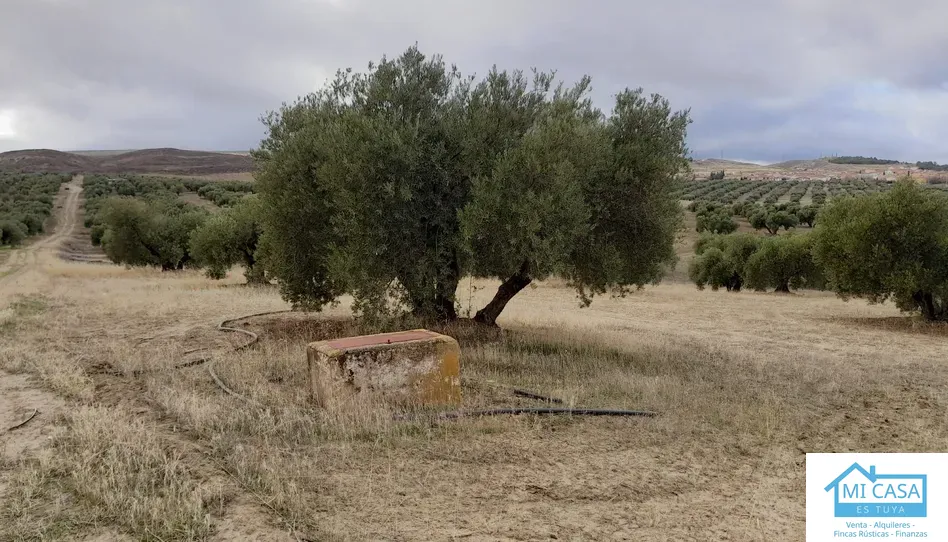 Terreno en venta en Avenida Garcia Lorca, Escúzar, Granada - foto 1 de 3 (Escúzar)