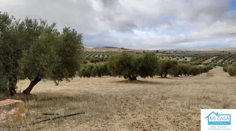 Terreno en venta en Avenida Garcia Lorca, Escúzar, Granada - foto 2 de 3 (Escúzar)