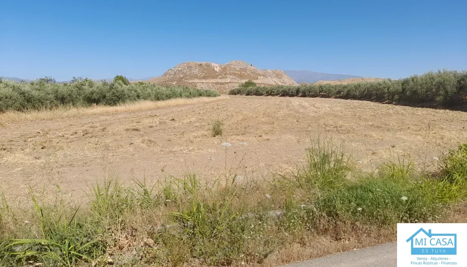 Terreno en venta en Poligono Ua-11, Chauchina, Granada - foto 1 de 4 (Chauchina)