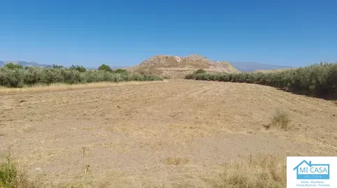 Terreno en venta en Poligono Ua-11, Chauchina, Granada - foto 3 de 4 (Chauchina)