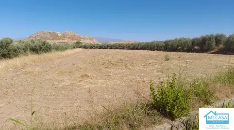 Terreno en venta en Poligono Ua-11, Chauchina, Granada - foto 4 de 4 (Chauchina)