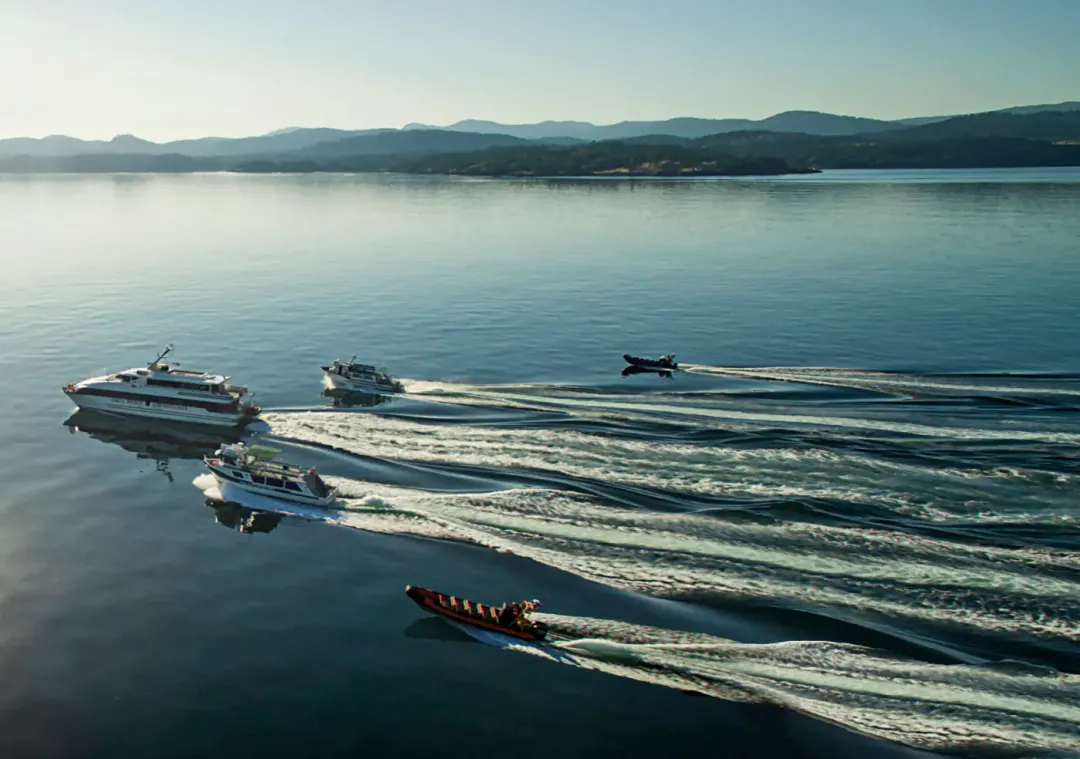 Orca Spirit Adventures Zodiac Whale Watching