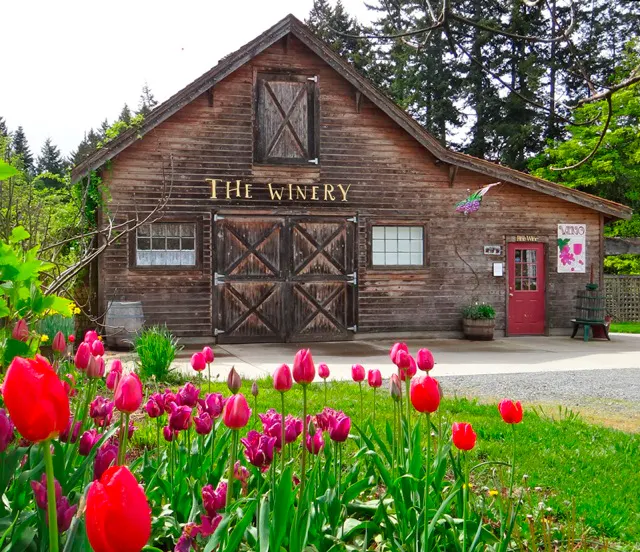 Starling Lane Vineyard
