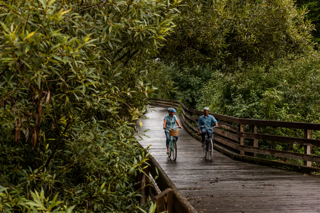 The Pedaler Cycling Tours & Rentals