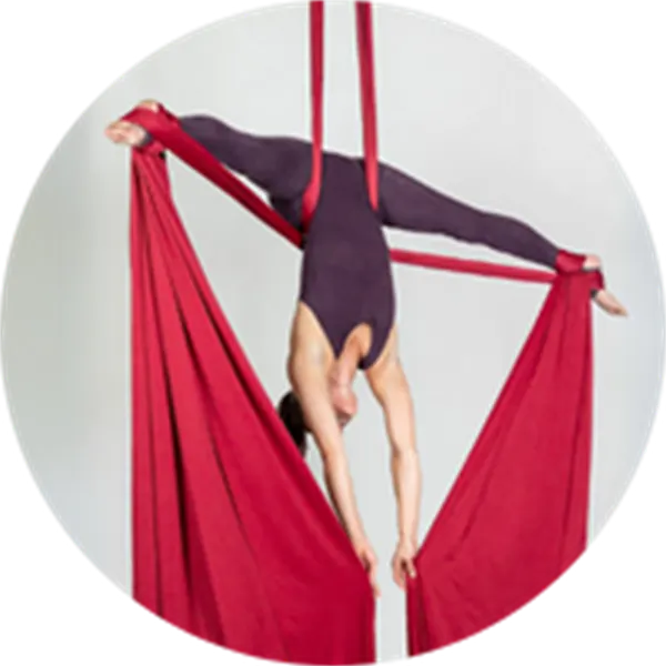 Aerial Silks 2 & 3