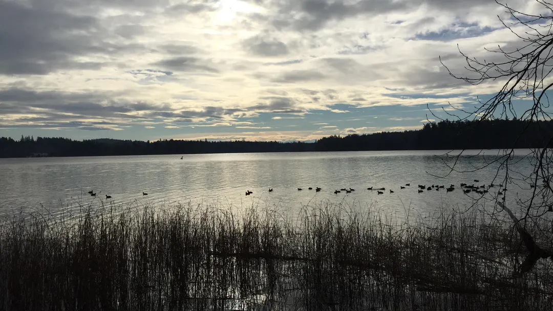 Elk/Beaver Lake Park 10 km walk