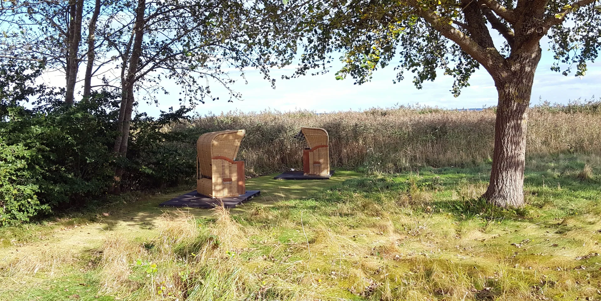 Windgeschützter Strandkorb im Garten