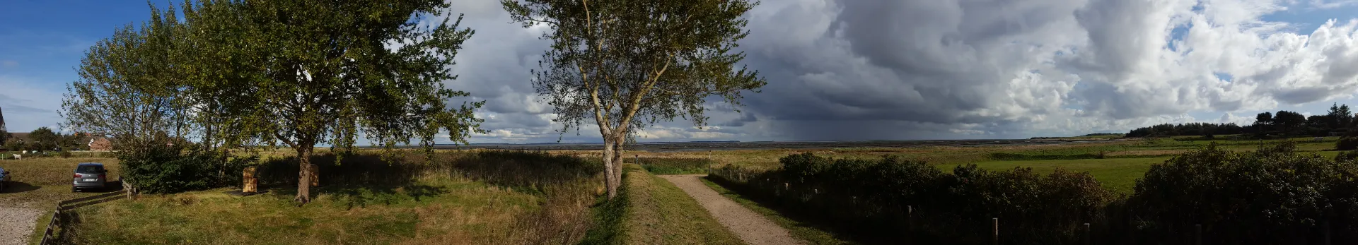 Panoramablick über die Salzwiesen zum Wattenmeer