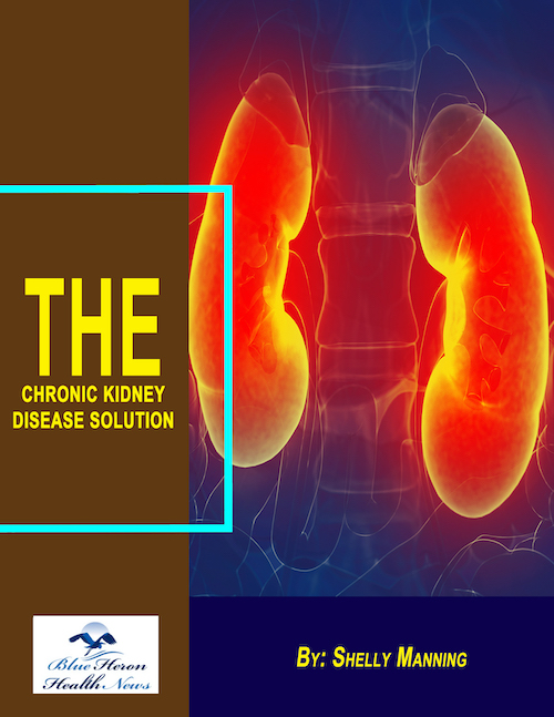 The Chronic Kidney Disease Solution Review 2026: Does It Really Reverse CKD?