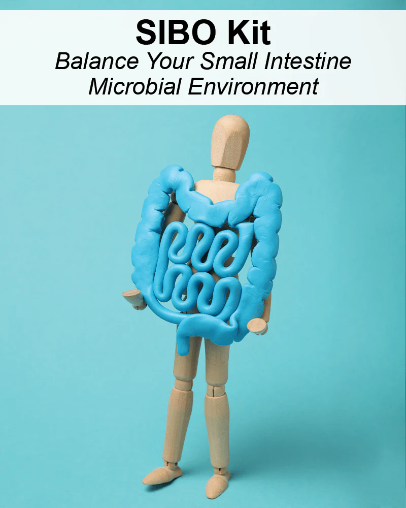 Small Intestine Microbial Environment (SIBO) Kit Review 2026: Does It Really Reverse Bacterial Overgrowth?