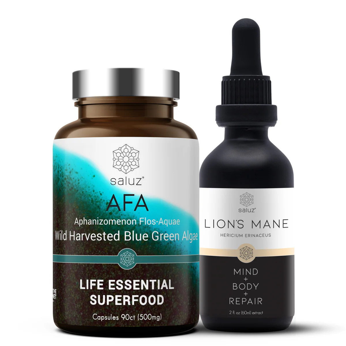 Saluz Brain Health Function + Protection + Memory + Focus Pairing Review 2026: The Ultimate Nootropic Duo?
