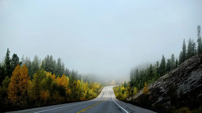 Camino de grava de la Dalton Highway Alaska