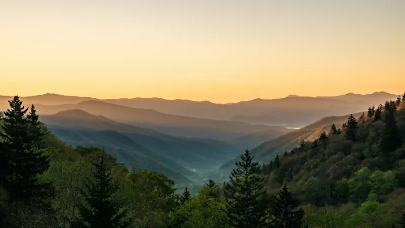 La Niebla de los Smokies