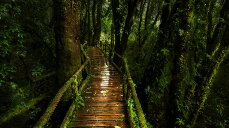 Roaring Fork Motor Nature Trail