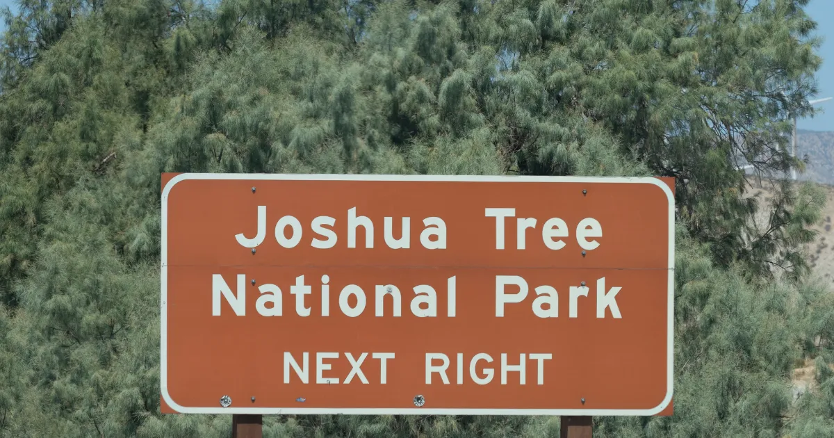 Joshua Tree National Park