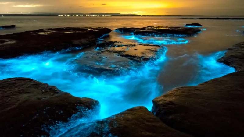 bioluminiscencia Bahía Mosquito Vieques Puerto Rico