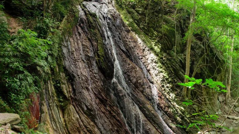 bosque El Yunque Puerto Rico parque nacional