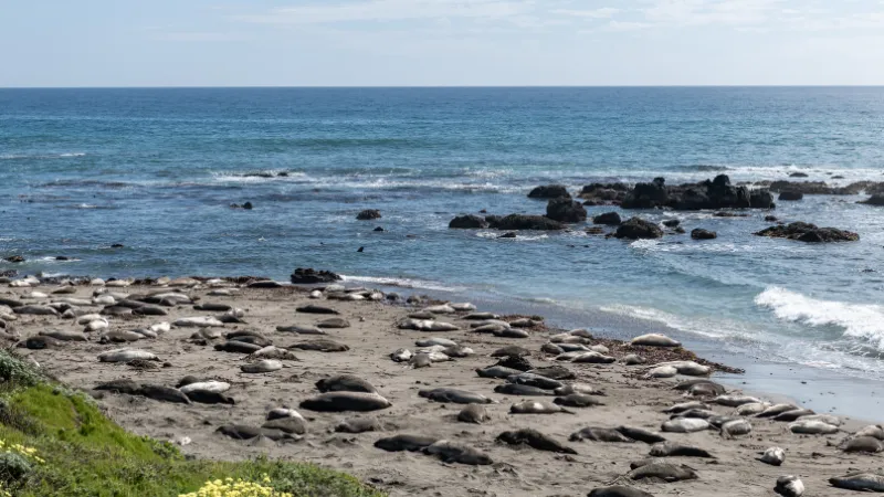 experiencia completa de 10 días por la Costa Oeste de EEUU