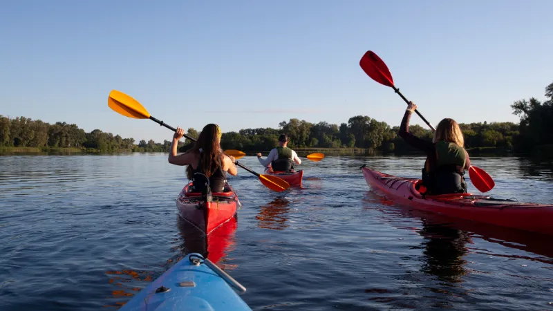 Tour Kayak en Manglares: 