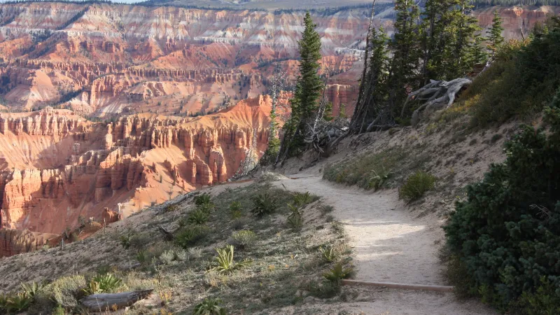 Rim Trail