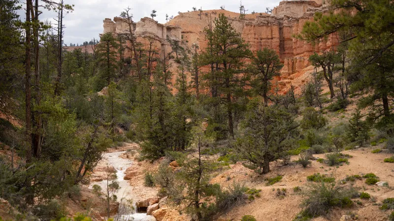  Navajo Loop Trail