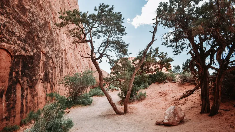  Devil's Garden Loop