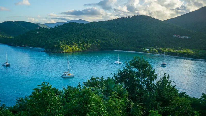 Isla del Caribe