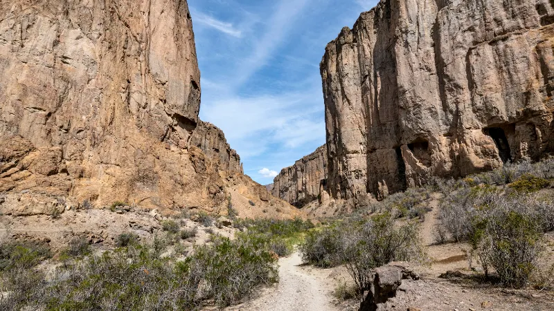 desierto de Big Bend