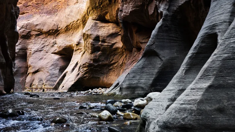 🏞 Caminata guiada por The Narrows