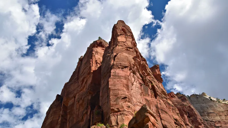 Picos de arenisca Court of the Patriarchs en Zion
